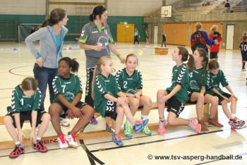 07.02.2015 weibliche E-Jugend - Spieltag in Asperg