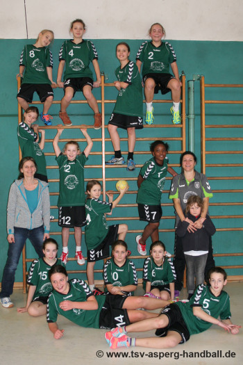 07.02.2015 weibliche E-Jugend - Spieltag in Asperg