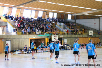 05.05.2016 Landesliga-Relegation, 1. Runde: Frauen I - HSG Hossingen-Meßstetten 17:17