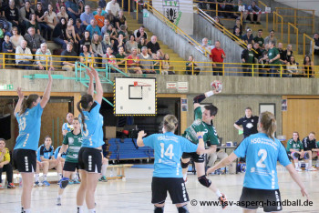 05.05.2016 Landesliga-Relegation, 1. Runde: Frauen I - HSG Hossingen-Meßstetten 17:17
