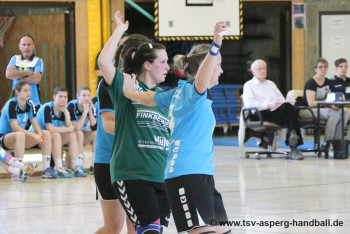 05.05.2016 Landesliga-Relegation, 1. Runde: Frauen I - HSG Hossingen-Meßstetten 17:17