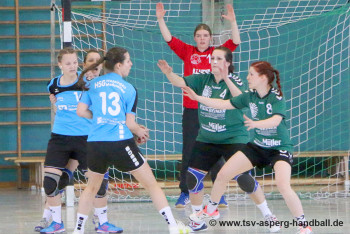 05.05.2016 Landesliga-Relegation, 1. Runde: Frauen I - HSG Hossingen-Meßstetten 17:17