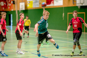 13.06.2015 männliche A-Jugend - HVW-Qualifikation in Fridingen/Donau