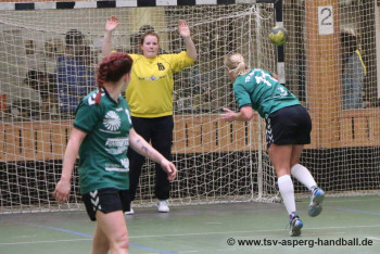23.10.2016 HSG Marbach/Rielingshausen - Frauen I 20:26