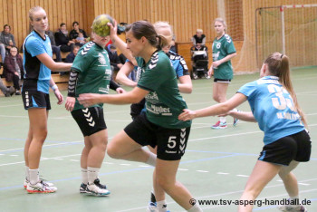 23.10.2016 HSG Marbach/Rielingshausen - Frauen I 20:26
