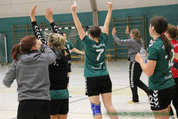 19.11.2017 Frauen I - HSG Hohenlohe 21:19 | Vielen Dank an Thomas Marquart für die Fotos!