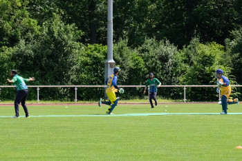 09.06.2019 Cricket: TSV Asperg - Kaiserslautern University Cricket Club