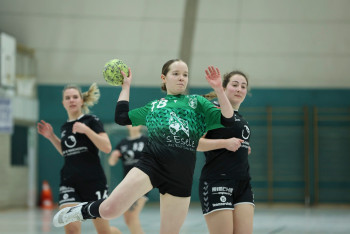 04.03.2023 Frauen 1 - TSV Wiernsheim 26:20 | Vielen Dank an Mike Matysik für die Bilder! Mehr Bilder gibts auf www.facebook.com/Portraction