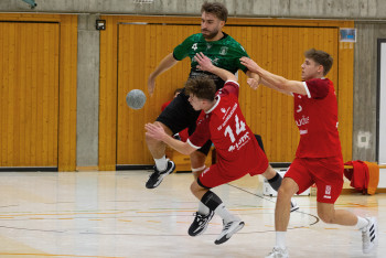 15.02.2025 Männer 1 - SF Schwaikheim 2 30:38 | Bild: Mike Matysik (www.portraction.de)