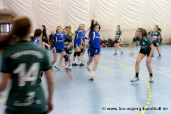 24. - 28.03.2016 Prague Handball Cup 2016