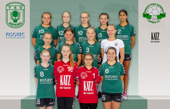 weibl. C-Jugend - Bezirksklasse