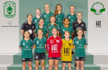 weibl. D-Jugend Bezirksliga